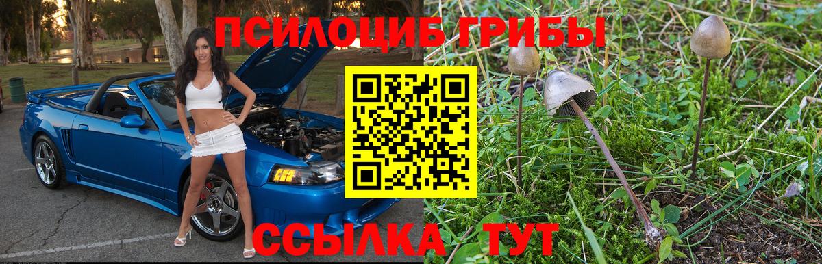 Галлюциногенные грибы GOLDEN TEACHER  Вход с VPN  Минеральные Воды 