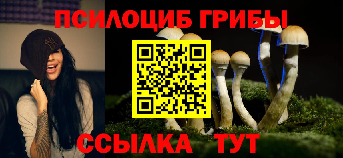 Псилоцибиновые грибы MAGIC MUSHROOMS Минеральные Воды